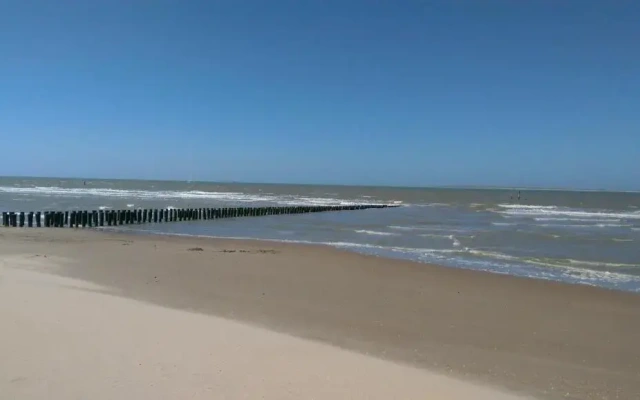 Park Schoneveld: Zeester 64