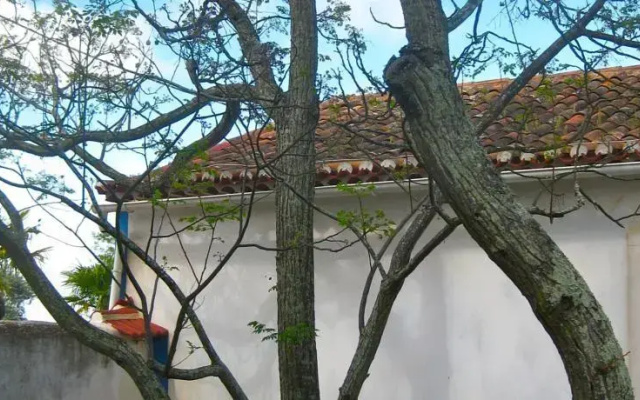 Monte da Crimeia Turismo Rural