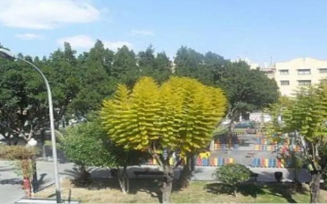 Apartamento De Elche