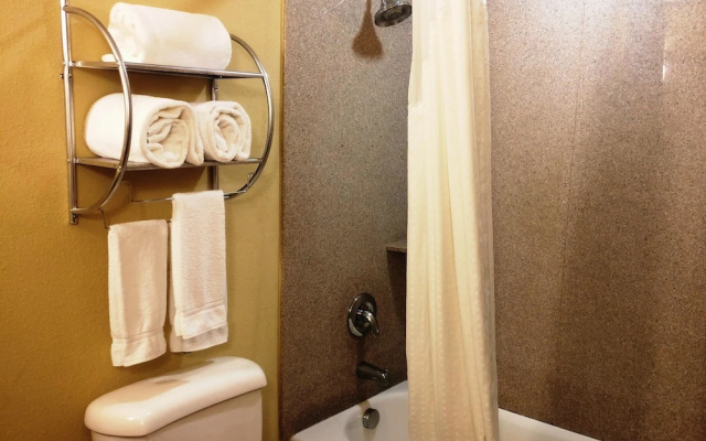 Holiday Inn Express Waller