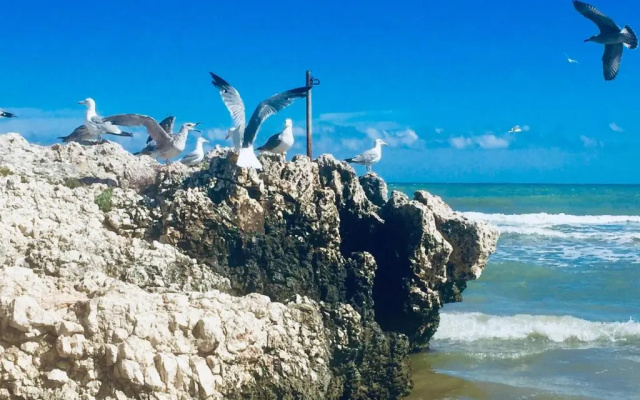 Il gabbiano, attico con terrazzo vista mare