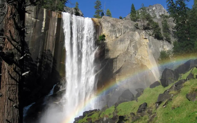Yosemite Condominium