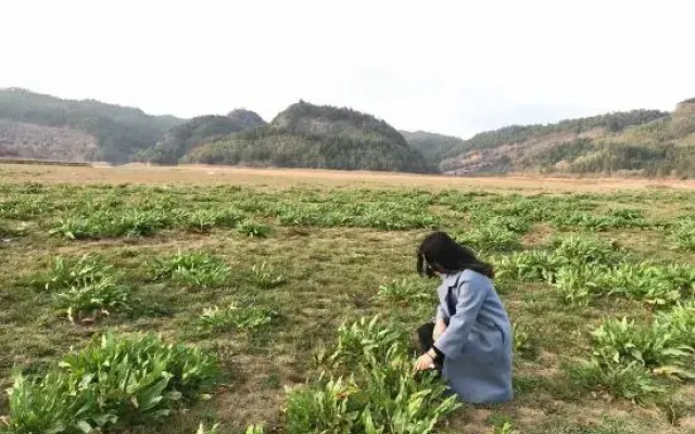 Taining Luxiang Nanhui Hotel (Jinhu Prairie)