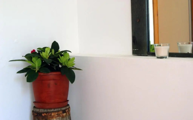 Apartmani Braco Caratan