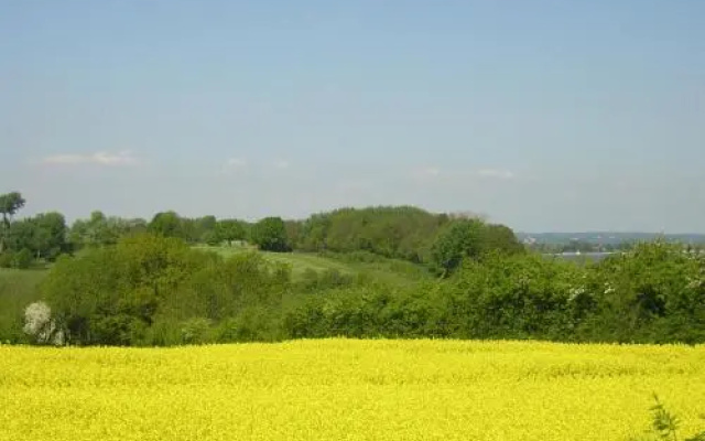 Schulwald