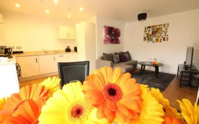 UR City Pad - Regent Wharf