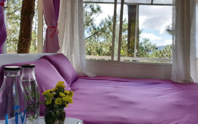 Pine Hill Homes Dalat