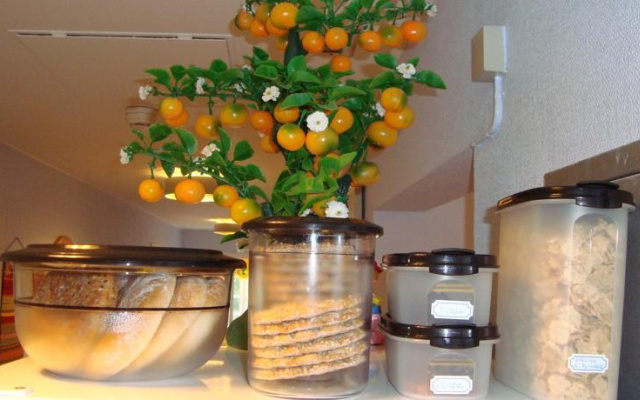 Christinas Gästgifveri B&B