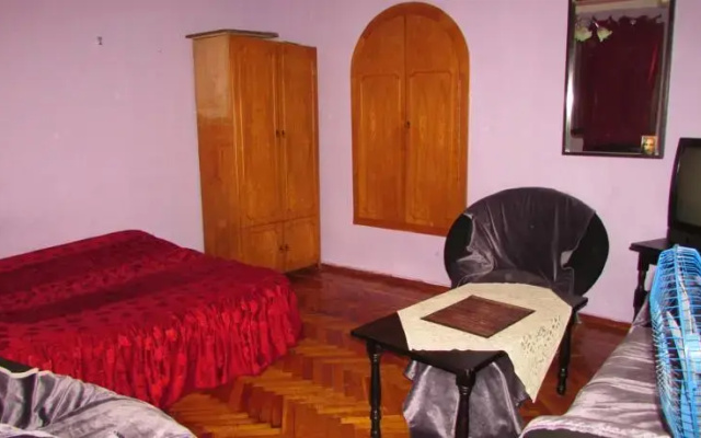 Apartment on Machabeli 20