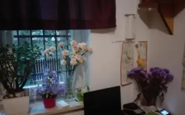Hostel Madeira