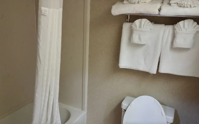 Comfort Inn Newport