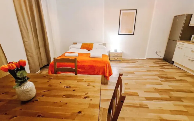 Classic 2BR Viennese Apt Near Downtown