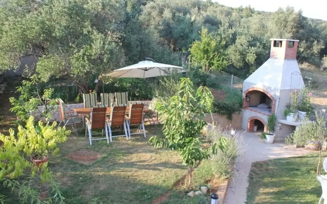 Ante - 50m From the sea - A4 Lila