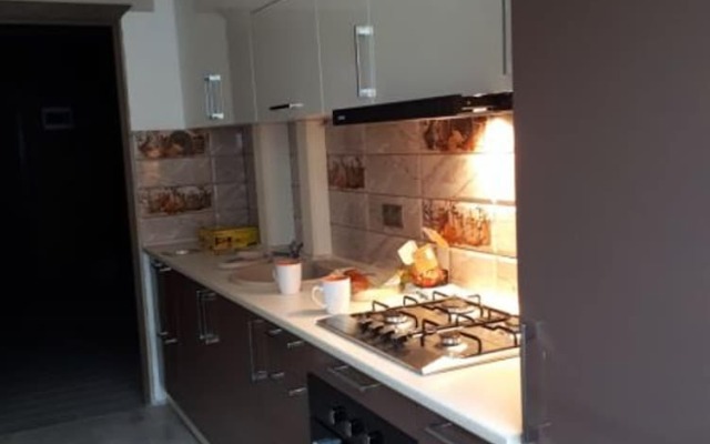 Апартаменты Apartment With one Bedroom in Mykolaiv, With Wonderful City View and Wifi - 6 km From the Beach Николаев питание