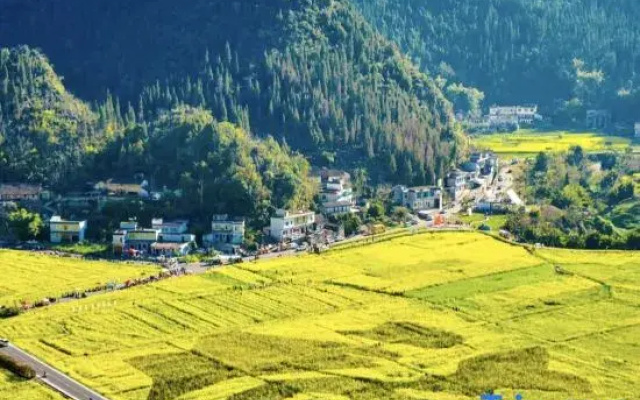 Wangfeng Pavilion Homestay (Wanfenglin Scenic Area Store)