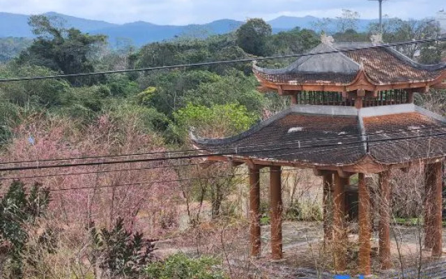 Van Tan Hotel