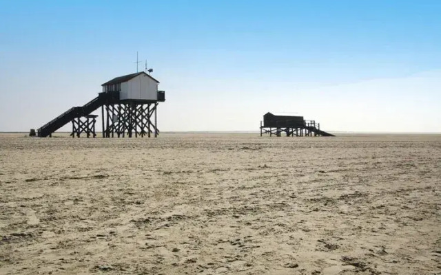 Apartment in St. Peter-Ording in a natural environment.