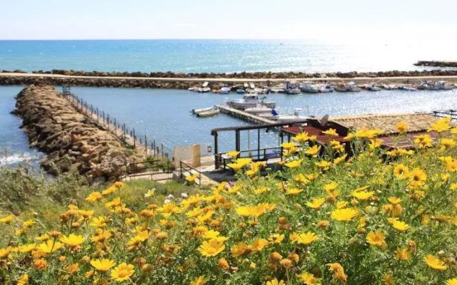 Il Pescatore