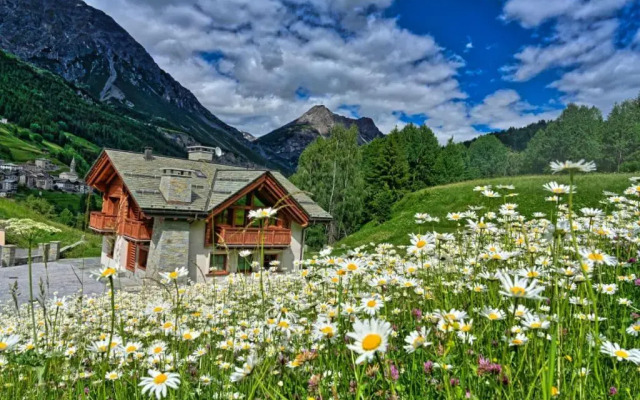 Chalet Taulei