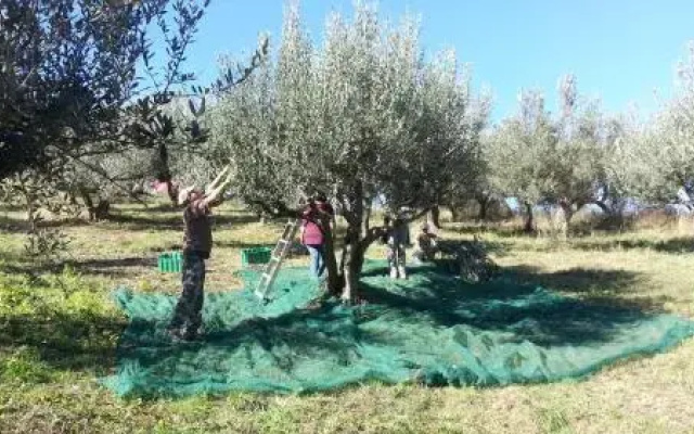 Casa Pietra