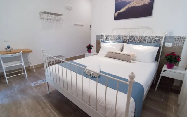 B&B Raudino