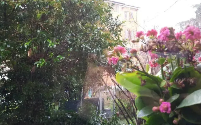 Casa Felice