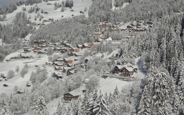 Chalet Aelpli Bed and Breakfast