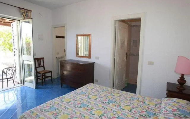 Agriturismo Il Vitigno
