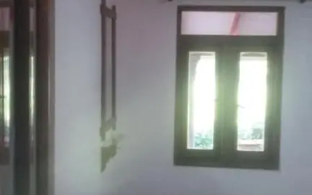 Angry birds homestay