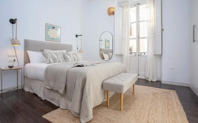 Luxury Apartment in Malaga. Larios VI