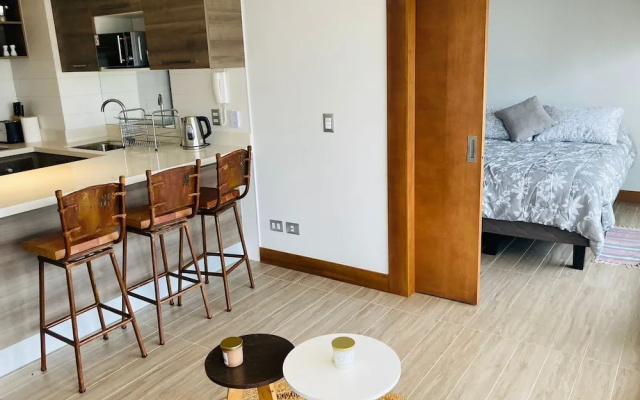 Departamento Arenales 1