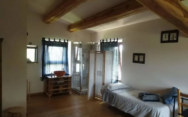 Il Gallo Silvestre - Bed&Books