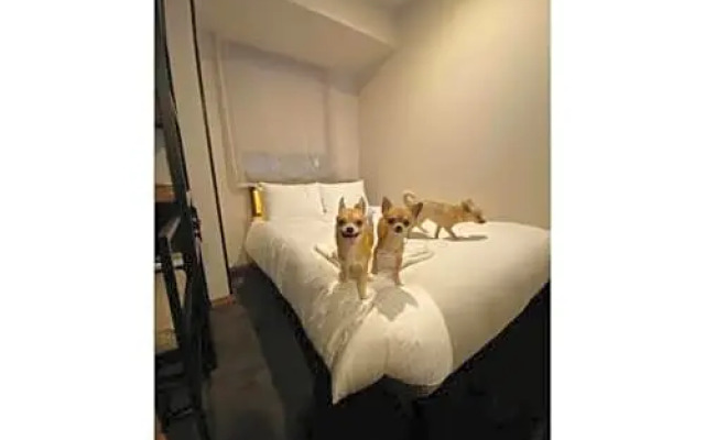 ICI HOTEL Asakusabashi - Vacation STAY 71085v