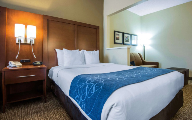 Comfort Suites Rochester Henrietta University Area