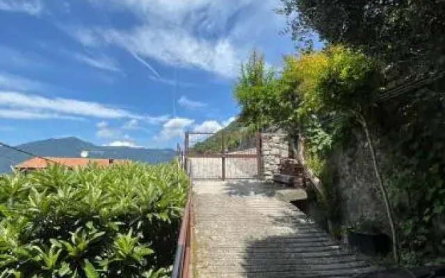 Giardino sul lago, La Vigna