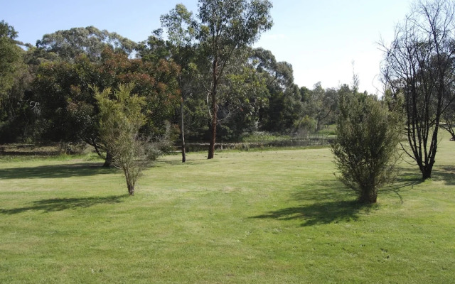 Bellbrae Harvest