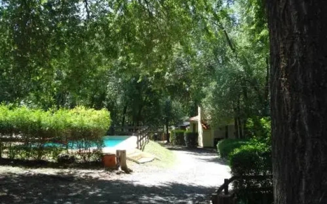 Olmos de la Colina