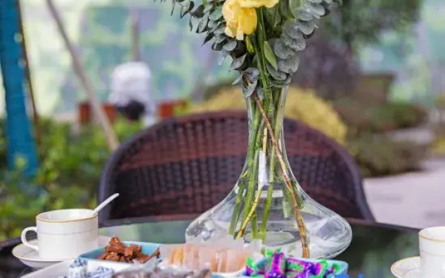 Anji Zhuyin Wild Luxury Holiday Homestay (Hello Kitty)