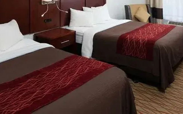 Comfort Inn Central Auburn