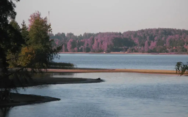 Rēzijas