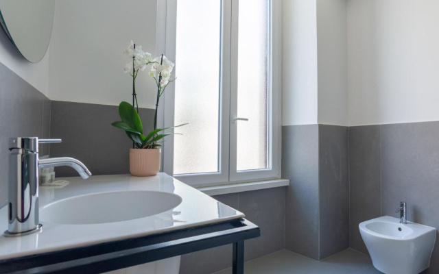 Carrara 24