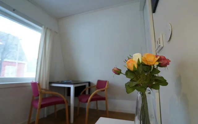 Arctic Rooms REKTOR