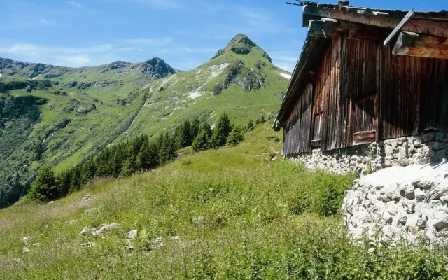 Spacious Chalet near Ski Area in Saalbach-Hinterglemm