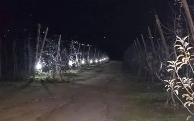 Quinta da Cabrida Douro