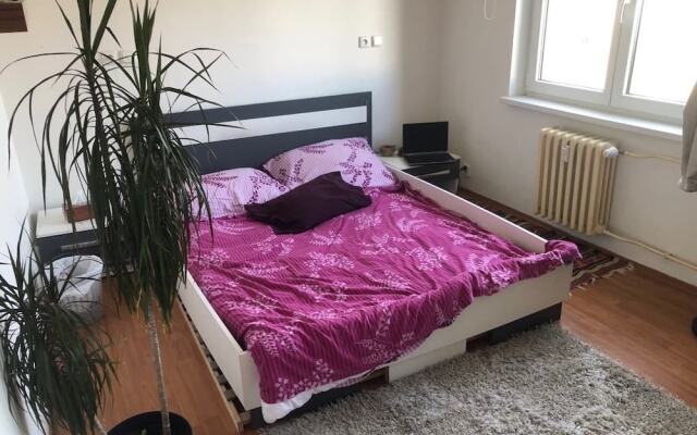Отель Shared Flat комната для гостей