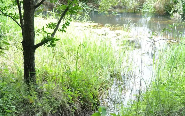 Askiesbos Okavango Delta