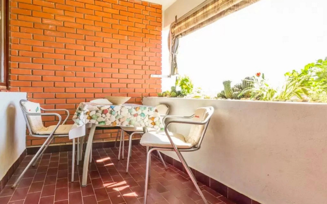 Apartment Palcic