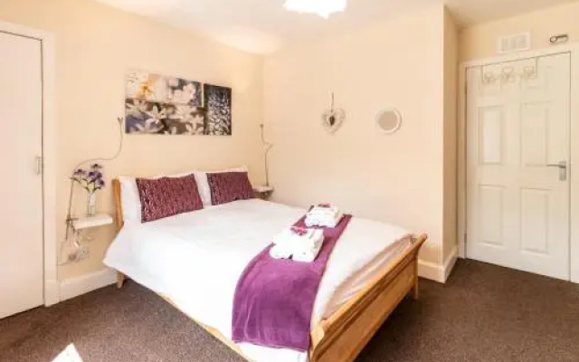 Mycosy Lorimer 17