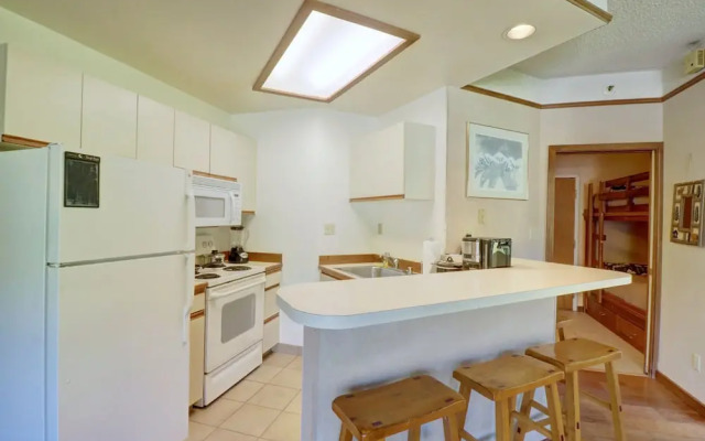 Affordable Ski Condo with Awesome Views - TL207 by Redawning