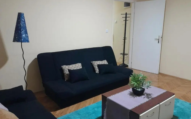 Cozzy and Centrally Located Apartment Vracar
